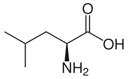 L-Leucine (Leu&nbsp;/&nbsp;L)