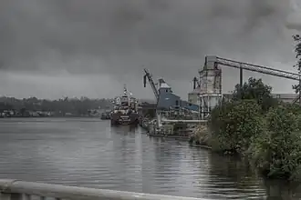 View from the Demerara River