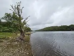 Llyn Cynwch, a natural ancient lake of Nannau