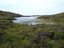 The burn from Loch an Fheoir flows into the loch here.