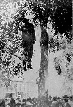Man hanging by the neck from a tree