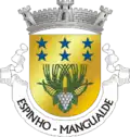 Coat of arms of Espinho