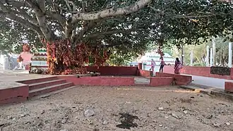 Batabrukhya of Maa Ramachandi Temple