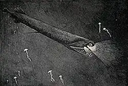 The stoplight loosejaw is also one of the few fishes that produce red bioluminescence. As most of their prey cannot perceive red light, this allows it to hunt with an essentially invisible beam of light.[29]