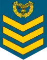 Flait sarjan (Royal Malaysian Air Force)