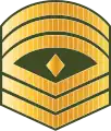 ފަސްޓް ސާރޖަންޓް Fast saarjant (Maldives National Defence Force)[24]