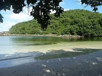 Mandahl Bay Salt Pond