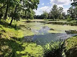 Lake in the Medyka Manor house park