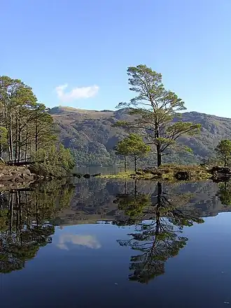 Image 12Eilean Ruairidh Mòr, one of many forested islands in Loch Maree Credit: Jerry Sharp