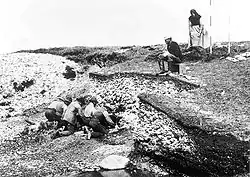 Image 57Excavation of the Ertebølle middens in 1880 (from Atlantic Ocean)
