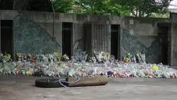Hundreds of bunches of flowers inside an elephant enclosure
