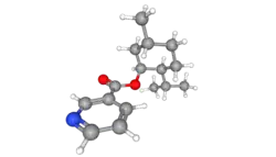 Ball and stick model of menthyl nicotinate molecule