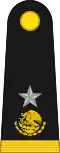 Brigadier General