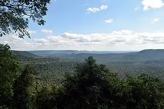 View of the Alto Paraná Atlantic forests