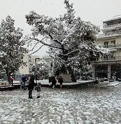 View of the central square (2021)