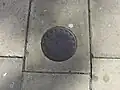 Ornate coal hole cover