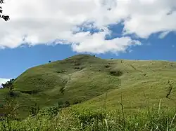 The tall cogon grass field near Mt. Tagapo's peak with the trail visible on the right slope