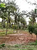 Mududi farm