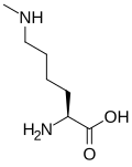 Monomethylated: 6-N-methyllysine