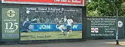 A Northern Ireland national football team mural