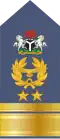 (Nigerian Air Force)[21]