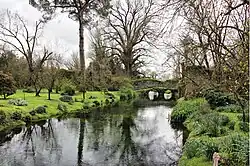 The stream and meadows