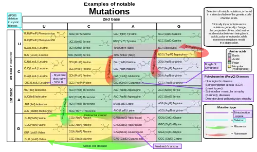 Image 31Selection of disease-causing mutations, in a standard table of the genetic code of amino acids (from Mutation)