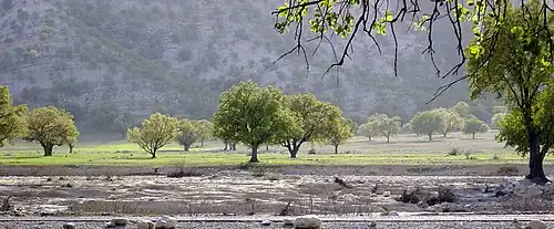 A view of Dasht-e Barm