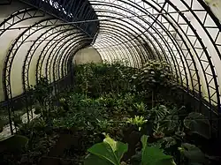 Orchid garden (Orquideario)