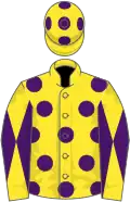 Yellow, purple spots, yellow sleeves, purple diabolo, yellow cap, purple spots