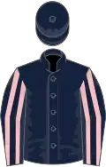 Dark blue, pink striped sleeves