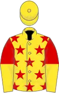 Yellow, red stars, red and yellow halved sleeves, yellow cap
