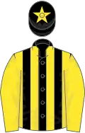 Black and yellow stripes, yellow sleeves, yellow star on cap
