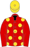 RED, yellow spots, red sleeves, yellow cap