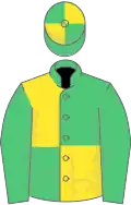 EMERALD GREEN and YELLOW QUARTERED, emerald green sleeves, quartered cap