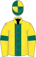 Yellow, dark green stripe and armlets, dark green and yellow quartered cap