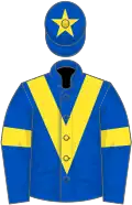 Royal blue, yellow chevron, armlets and star on cap