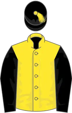 Gold, black sleeves and cap with gold tassel