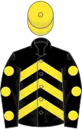 Black, yellow chevrons, spots on sleeves, yellow cap
