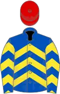 ROYAL BLUE and YELLOW CHEVRONS, red cap