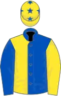 Royal blue and yellow halved, sleeves reversed, yellow cap, royal blue stars