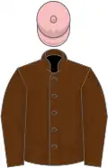 Brown, brown sleeves, pink cap