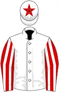 White, red and white striped sleeves, star on cap
