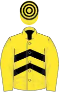 Yellow and black chevrons, yellow sleeves, hooped cap