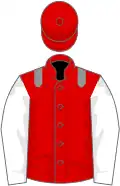 Red, grey epaulets, white sleeves