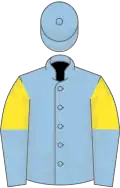 Light blue, yellow and light blue halved sleeves