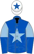 Royal Blue, Light Blue star, Light Blue and Royal Blue halved sleeves, White cap, Royal Blue star