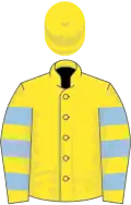 Yellow, light blue hooped sleeves