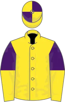 Yellow, purple and yellow halved sleeves, yellow and purple quartered cap