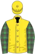 Yellow, mcalpine tartan sleeves